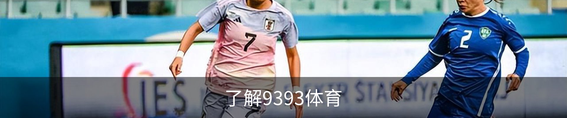 了解9393体育
