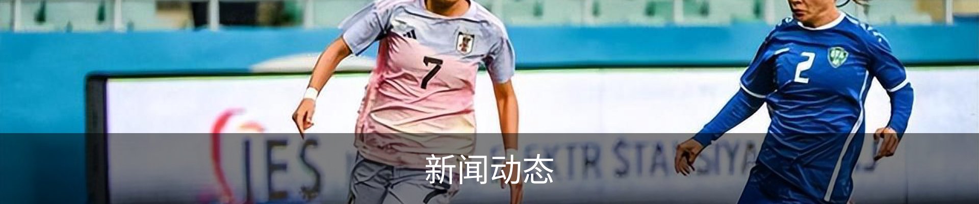 新闻动态